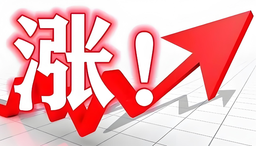 69b7a8e7d1b79 (1).png